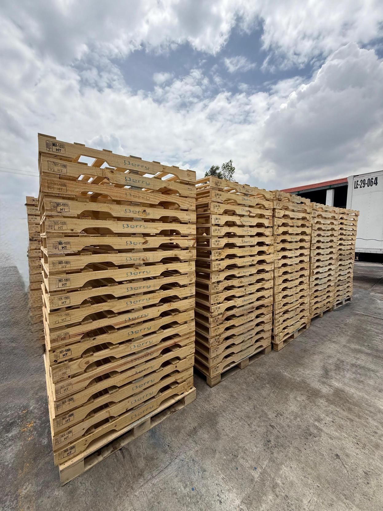 American Pallets Instalación 10