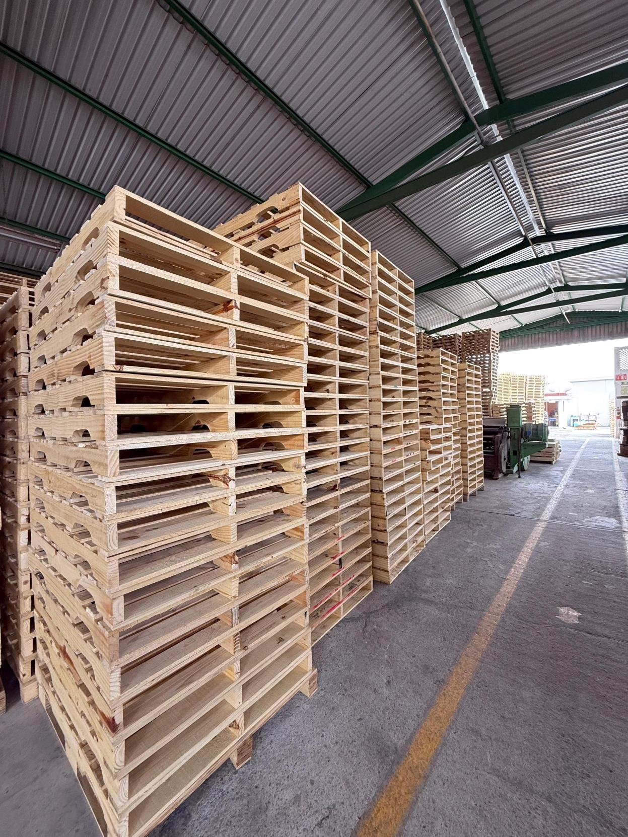 American Pallets Instalación 4