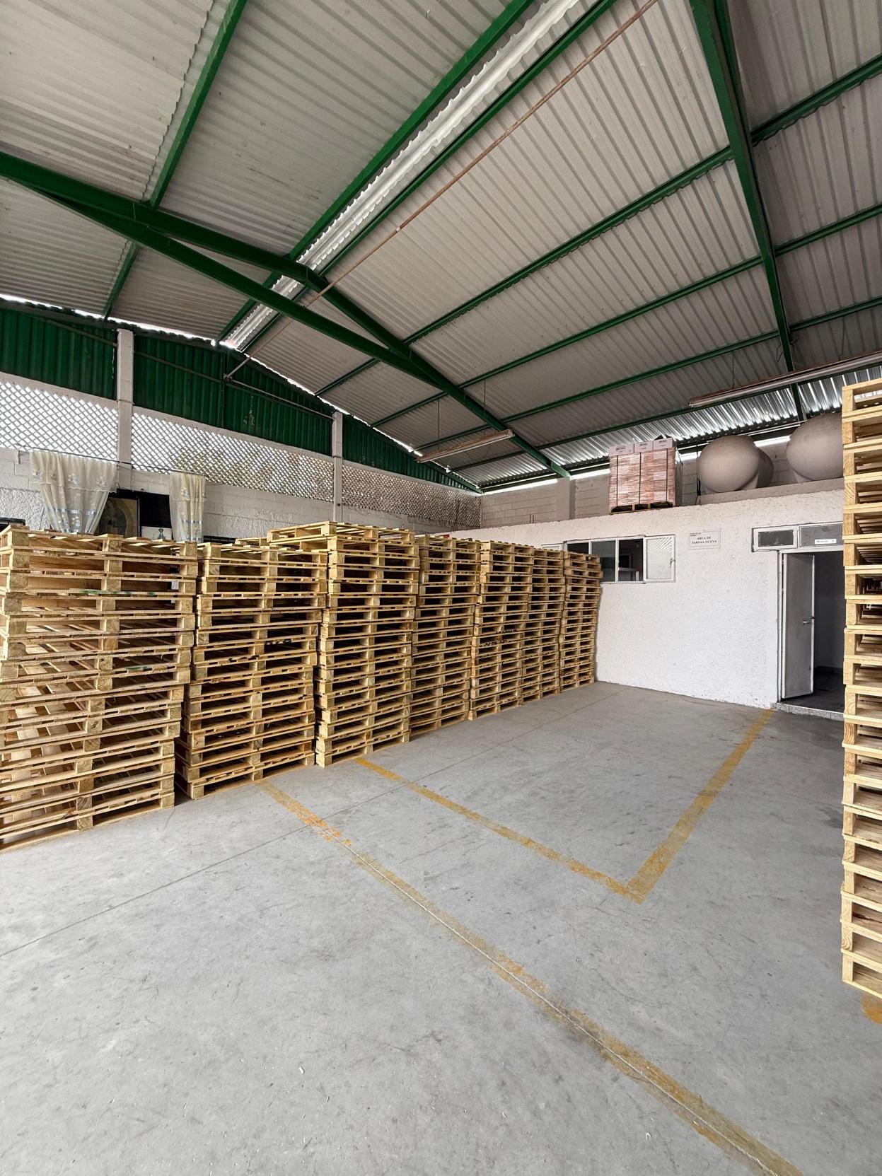 American Pallets Instalación 6