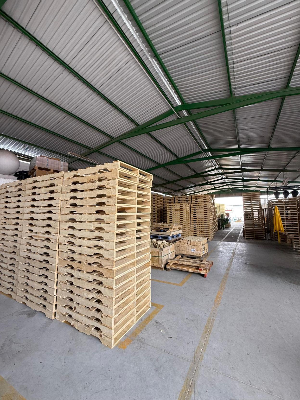 American Pallets Instalación 7