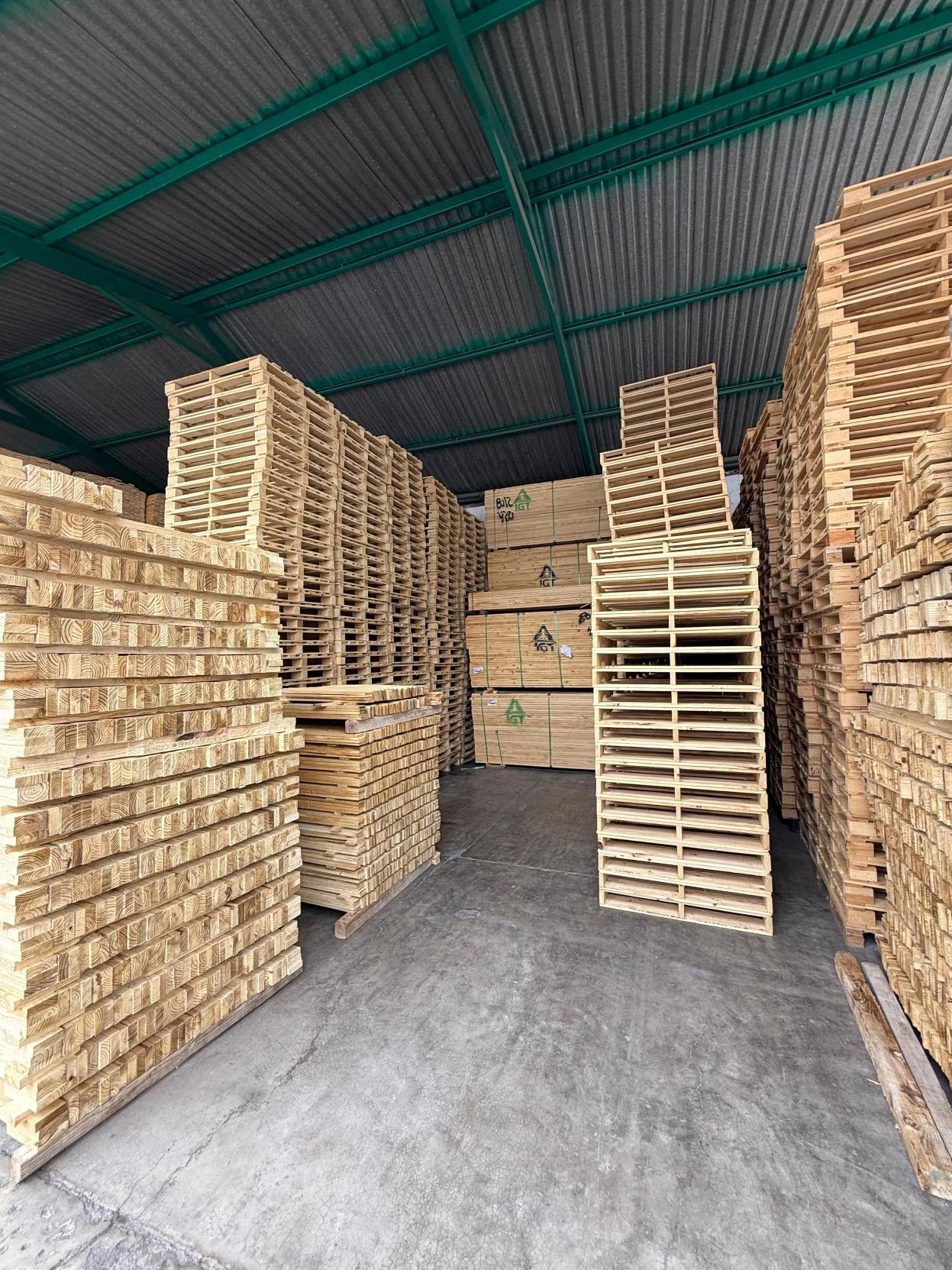 American Pallets Instalación 9