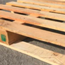 Tarimas de sector alimenticio